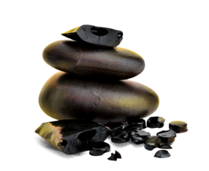 PRICHUT SHILAJIT